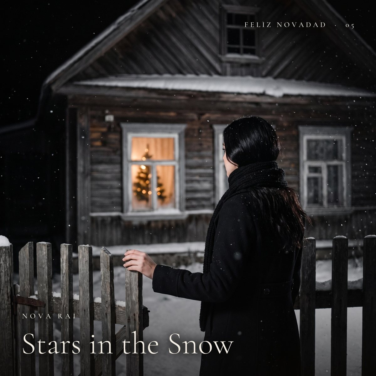 Stars in the Snow, the cover of the song by Nova Rai